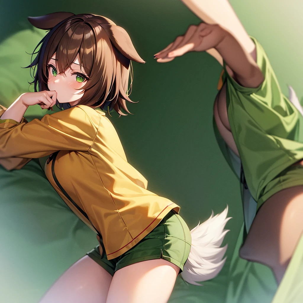Dog girl student furry futanari anime brown hair green eyes big breasts pajamas short sleeves and short shorts