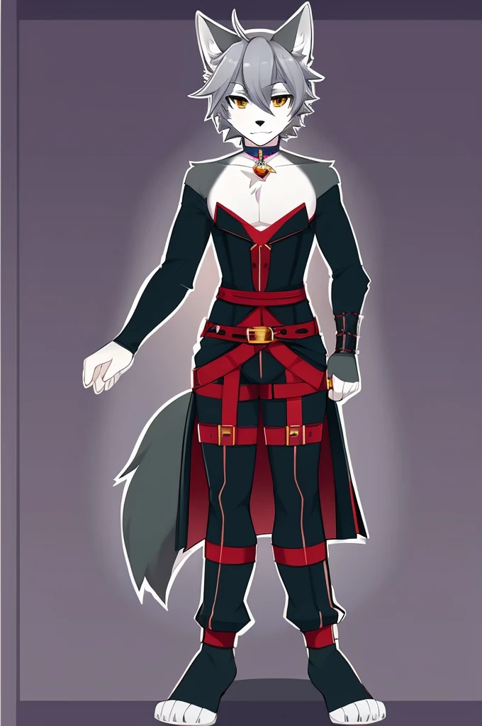 Wolf、Handsome、Gray Hair、Character portrait、Front view、stylish、Full body view、From head to toe、Sexy Outfits、Choker on neck、Sexy Belts、Simple Background