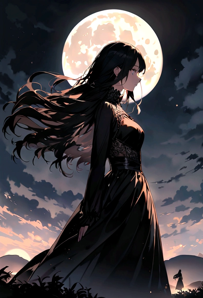 masterpiece, Highest quality, night, hill, , full moon, Long Hair, woman, silhouette, Fantasy profile.