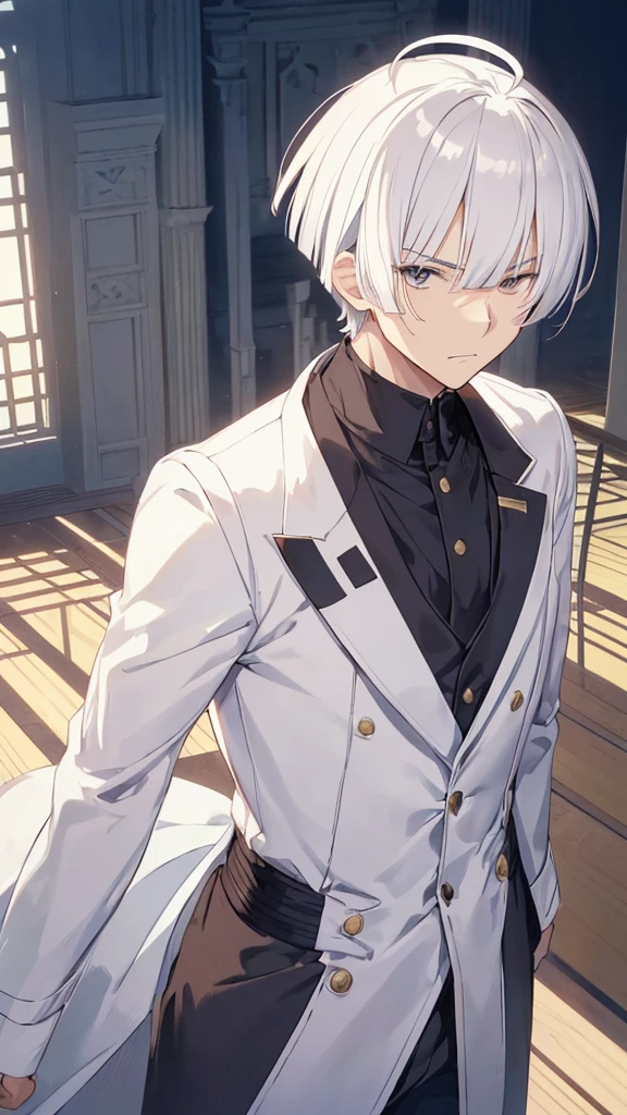 best quality,Japanese animation style 1adult male,((solo)),very short hair,Protruding hair,white hair,((((Up-bang and parted into seven thirds)))),hair slicked back,small eyes,slant eyes, white eyes, 
stern expression,Tailcoat combat specifications based on white,folding one's arms,((castle room))