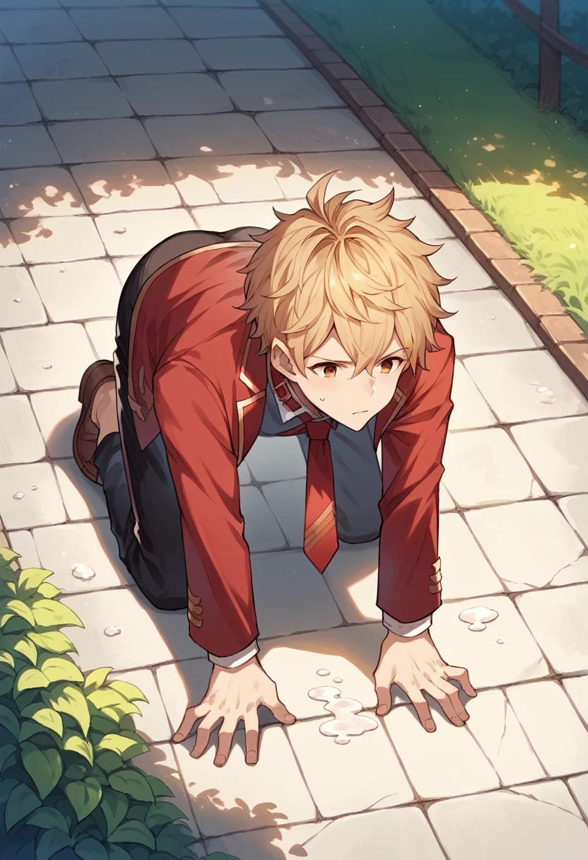 score_9, score_8_wonderful, score_7_wonderful, sauce_Anime Granblue Fantasy,Vain, alone, Part 1:  , Red Blazer, Black trousers, Outdoor,Red tie，Get on all fours and place your hands on the floor,put head on floor,Wear a lead collar