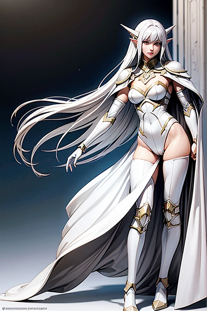 female noble Elf, full body art, silver hair, white skin, saphire eye, knight full plate adorned armor, white cape, perfectly detailed body.