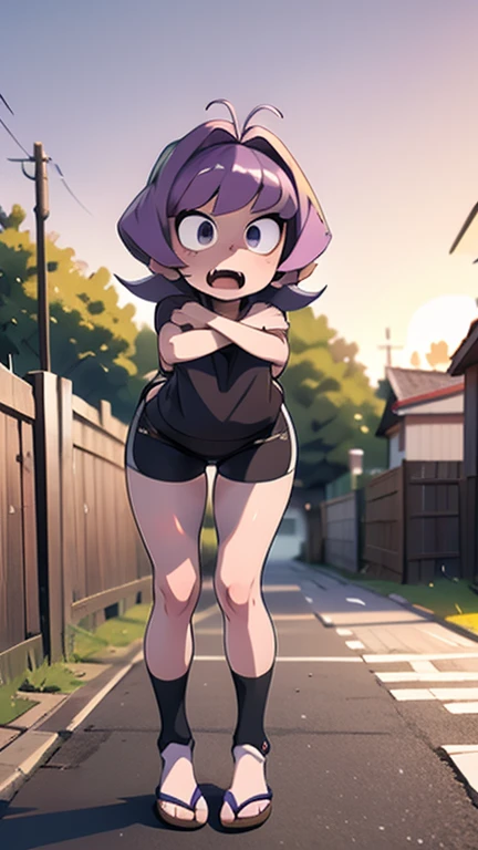 1 girl,Najimi,Najimi_KCC,How to say Najimi in Japanese \(komi-san is a shy person\),short purple hair, (black sports clothing), antenna hair ,Thighs, whole body, five fingers on hands, 2 legs, hugging the viewer, outside a house abandonada, Concerned, scary face, black shorts,1.1 perfect anatomy, outside a house , terror, sunset sky,
