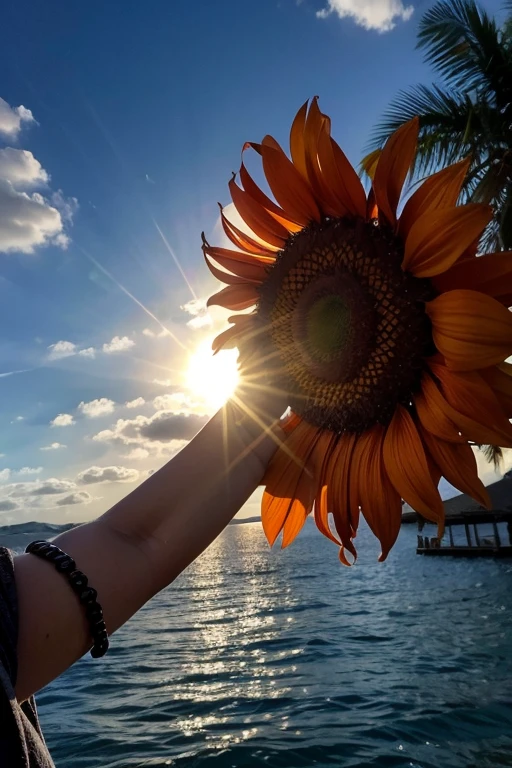 Sun