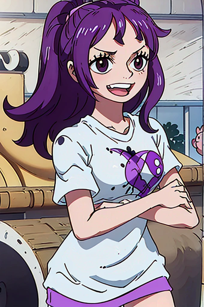 1 female, ONE PIECE STYLE, dog girl, realistic lips oversized white t-shirt going all the way to the thighs, arms crossed propping up breast, hourglass figure, cat ears, in an apartment, sigh, light brown hair, purple eyes, laughing, best quality