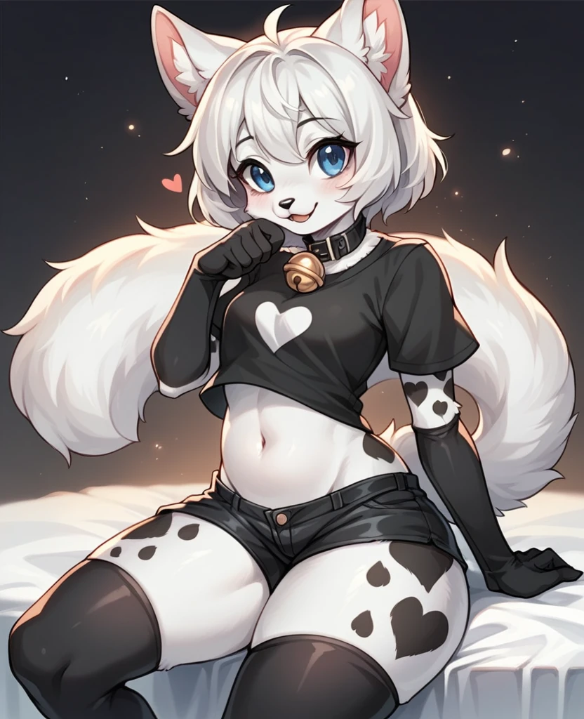 furry vaquinha, furry(anthro kitty), short white hair with black tips, blue colored eyes, god of eyes, detailed artwork, extremely detailed artwork, fluffy white fur, white skin with black spots, extremely high detailed skin, black and white silk gloves, short black shirt with heart, belly sample, furry belly, hair on thighs, black short shorts, detailed thighs, cute thighs, kitty tail, sitting on legs, black and white silk socks, collar with bell around the neck, groin sample, cute pose, cute smile, detailed groin