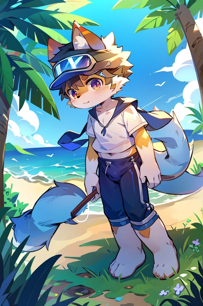 author:Junior Lesque, author:Kirito, Mammals, Furry, male, alone, wear, visor, summer,