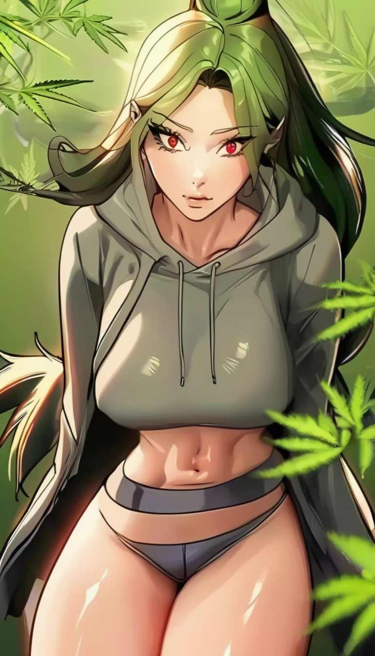   , Croped, , cleavage, slim waist, cropped hoodie underboob, cropped hoodieunderboobhoodie, 1girl, 2 wolf ears, wolf tail, marijuana crop hoodie, crop shorts, marijuana hoodie, spiky hair, spiky fur, green hair, red eyes,marijuana field, tight clothes, perfect eyes, perfect hands, clear resolution, full body, cleavage skin, marijuana plants, open hoodie, marijuana field, black thigh high socks, full body, earrings, 1girl, skirt,  cleavage, slim waist, cleavage, slim waist, hair pulled back, big breast, round butt, slim waist, best quality, thick thighs, D-cup breast, 