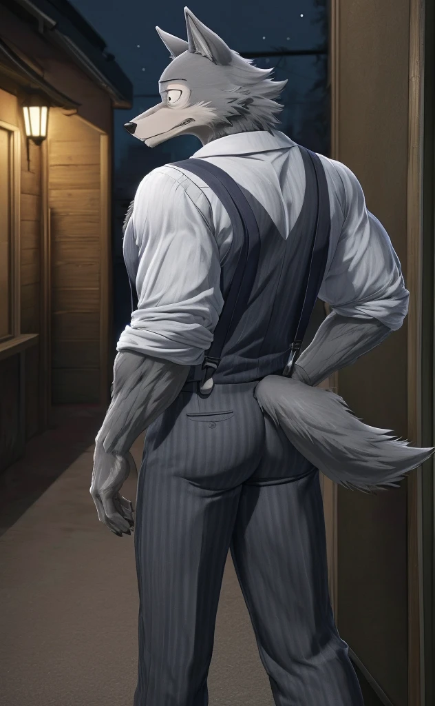 Legoshi is a tall, lean gray wolf, fur on his body is bluish gray, while his face, neck, and chest fur are a cream color, wearing a indigo vest, a dark gray tie, black suspenders, gray pants with dark gray vertical stripes, and brown loafers, anthro wolf, male, adult, muscles, grey fur, buffed body, tail, sexy, beefy body, furred body, furry chest hair, realistic, full body, photorealistic, ultra realistic, 8k, night, bare-chested, in back turned posing, sexy butt