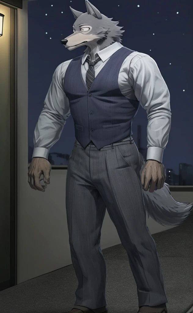 Legoshi is a tall, lean gray wolf, fur on his body is bluish gray, while his face, neck, and chest fur are a cream color, wearing a indigo vest, a dark gray tie, black suspenders, gray pants with dark gray vertical stripes, and brown loafers, anthro wolf, male, adult, muscles, grey fur, buffed body, tail, sexy, beefy body, furred body, furry chest hair, realistic, full body, photorealistic, ultra realistic, 8k, night, bare-chested, in back turned posing, sexy butt, fluffy ass