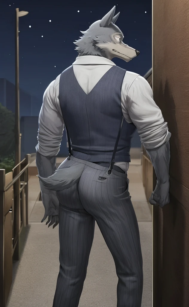 Legoshi is a tall, lean gray wolf, fur on his body is bluish gray, while his face, neck, and chest fur are a cream color, wearing a indigo vest, a dark gray tie, black suspenders, gray pants with dark gray vertical stripes, and brown loafers, anthro wolf, male, adult, muscles, grey fur, buffed body, tail, sexy, beefy body, furred body, furry chest hair, realistic, full body, photorealistic, ultra realistic, 8k, night, bare-chested, in back turned posing, sexy butt, fluffy ass 