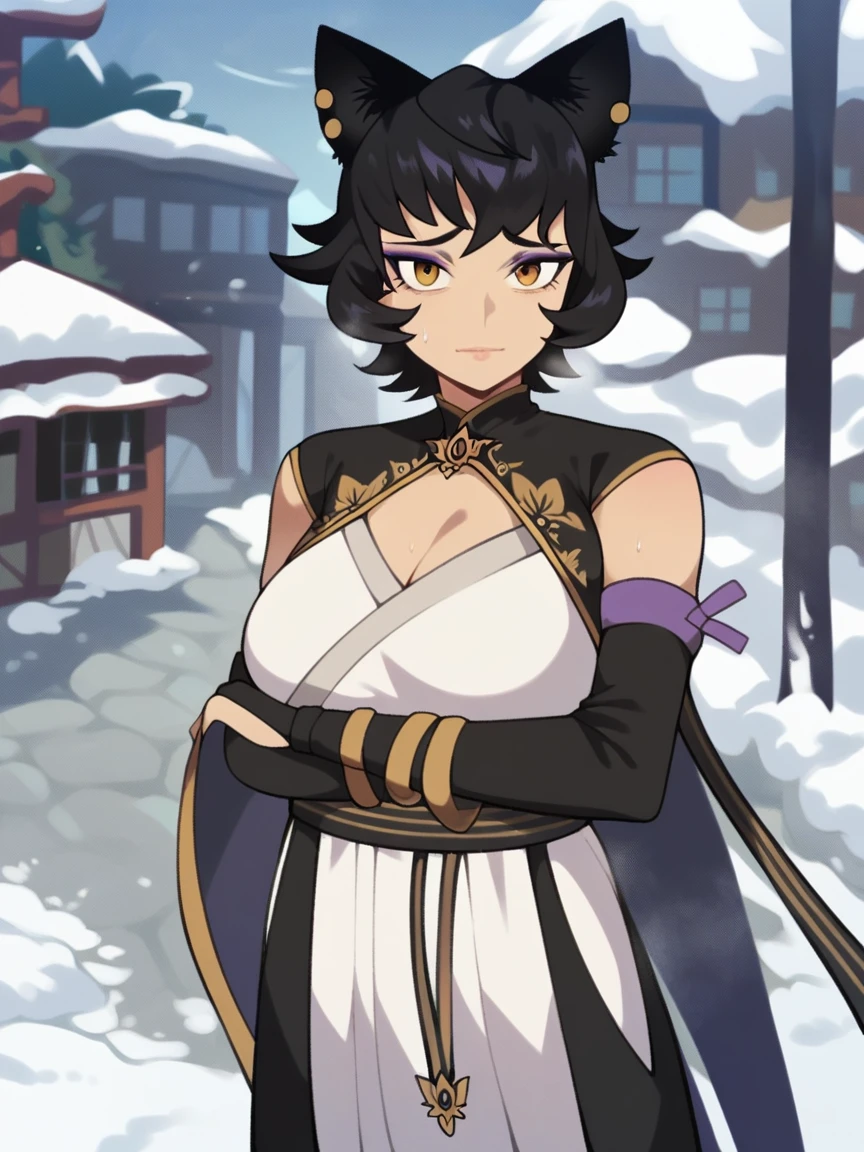 score_9, score_8_up, score_7_up,
mature female,
kali belladonna, large breast,
snowy street,
nyong_nyong,
from above,
standing with arms crossed,
cold