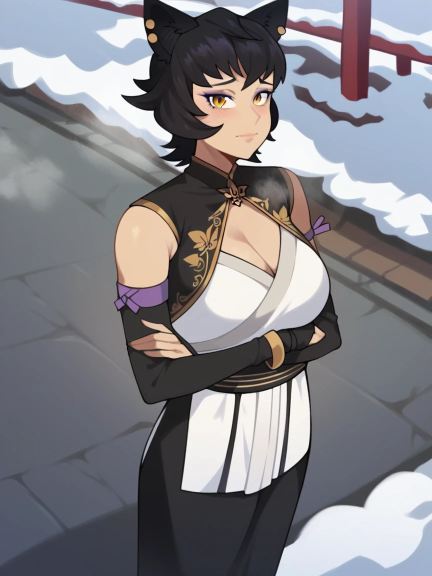 score_9, score_8_up, score_7_up,
mature female,
kali belladonna, large breast,
snowy street,
nyong_nyong,
from above,
standing with arms crossed,
cold