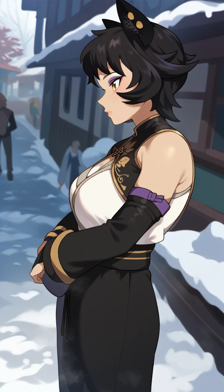 score_9, score_8_up, score_7_up,
mature female,
kali belladonna, large breast,
snowy street,
nyong_nyong,
from above, from side
standing with arms crossed,
cold