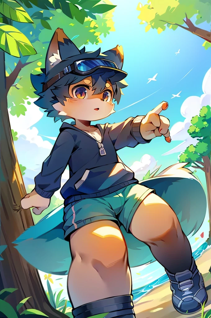 author：Junior Lesque, author：Kirito, Mammals, Furry, female, alone, wear, visor,  summer,