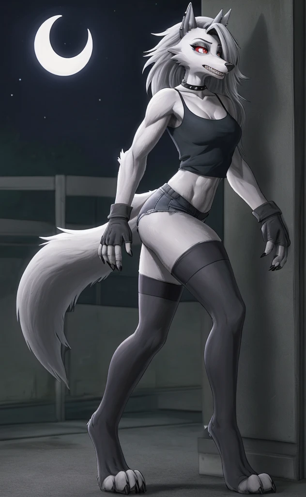Loona is a wolf. She has a pointed, dog-like muzzle with sharp and pointy teeth, and a dark grey nose. Her eyes have red sclera, white irises and slit-like pupils, and she wears grey eyeshadow and black winged-eyeliner for makeup, Her fur is white with grey countershading encircling her face, grey patches on her shoulders, and long, voluminous silver hair swept to the side to reveal her dark grey ears; the left of which is pierced with two small, black hoop-piercings, while the right is ragged. She has a large, dark grey bushy tail with white on the underside. She also has a piercing on her right eyebrow with a black hoop for jewelry, Her outfit features a large, spiked black choker around her neck. Her tattered grey, off-the-shoulder crop-top is held up at the neckline by a series of crisscross spaghetti-straps that form an inverted pentagram. She also wears a set of black shorts that are tattered at the hems, with a white crescent moon detail on the right side, Loona also accessorizes with both black fingerless gloves and black thigh-high toeless stockings, with her black claws protruding due to her digitigrade stance, anthro wolf, female, adult, muscles, white fur, buffed body, tail, sexy, beefy body, furred body, furry chest hair, realistic, full body, photorealistic, ultra realistic, 8k, night, bare-chested, in back turned posing, sexy butt, sexy ass