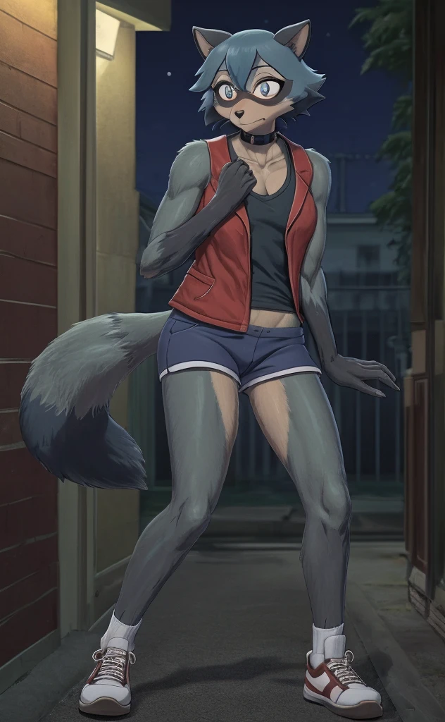 Michiru is basically a tanuki Beastman, though she bore handful traits of blue jay (possibli judging from the color scheme of her hair and tail) and raccoon (marking around the eyes). Her chin-length bob-cut hair and tail are blue in color with black ends. She also has teal eyes, and black pointy cat-like ears on the top of her head. Her hand-paws, feet-paws, and a patch on her face are dark brown while the rest of her fur is light brown much like a real tanuki, She wears a loose gray tank-top, a black undershirt underneath, navy dolphin shorts with light green trim, a red sports jacket with white trim and a unfolded collar, and white sneakers with red soles, anthro raccoon, female, adult, muscles, brown fur, buffed body, tail, sexy, beefy body, furred body, furry chest hair, realistic, full body, photorealistic, ultra realistic, 8k, night, bare-chested.
