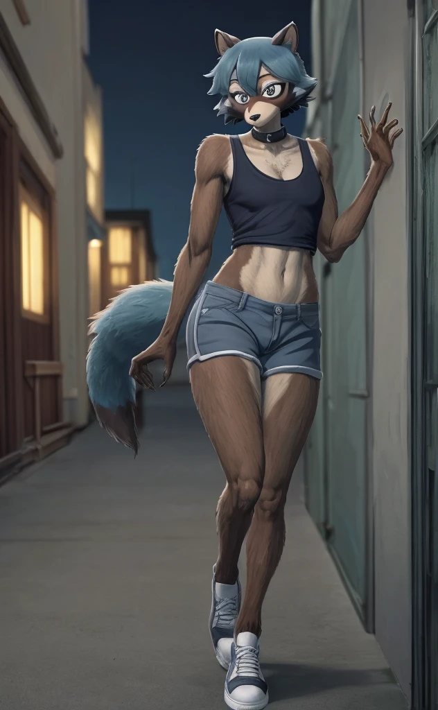 Michiru is basically a tanuki Beastman, though she bore handful traits of blue jay (possibli judging from the color scheme of her hair and tail) and raccoon (marking around the eyes). Her chin-length bob-cut hair and tail are blue in color with black ends. She also has teal eyes, and black pointy cat-like ears on the top of her head. Her hand-paws, feet-paws, and a patch on her face are dark brown while the rest of her fur is light brown much like a real tanuki, She wears a loose gray tank-top, a black undershirt underneath, navy dolphin shorts with light green trim, a red sports jacket with white trim and a unfolded collar, and white sneakers with red soles, anthro raccoon, female, adult, muscles, brown fur, buffed body, tail, sexy, beefy body, furred body, furry chest hair, realistic, full body, photorealistic, ultra realistic, 8k, night, bare-chested, in back turned posing, sexy butt 