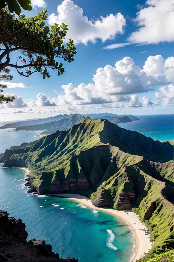 Hawaii Destinations、Landscape only