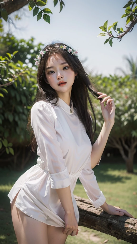 The Lady Tree bore fruit like a young woman. There are many cute people in the branches, beautiful women and girls. very detailed Everything is very real.