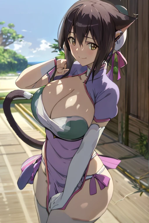 masterpiece, best quality, beautiful art, high resolution, well formed hands, body and fingers, 1 woman, solo, Lin Xiao Mei, cat ears and cat tail, hair ornament, adult, grown up, big breasted, cleavage, full body, braided long hair, blue_japanese_clothes, wearing DOA Kasumi's blue kunoichi dress, sexy and skimpy japanese clothes, kimono peek, sleeveless, white stockings, gorgeous legs and thighs, doing exercise, warming up, working out, sexy and captivating training, smiling joyfully and happily , looking at the viewer, panties peek, sweating , bouncing breasts, t back thong, training montage session, beach environment