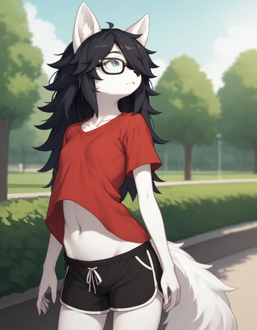 Solo, score_9,score_8_up,score_7_up, kemono style, a young nerdy Anthro furry wolf woman, wolf snout, white furry body, tall, long black messy hair, black hair, hair in a pony tail, hair covering one eye, white wolf tail, black glasses, blue eyes, white wolf ears, white wolf tail, small breasts, wearing oversized red t shirt, black boy shorts, standing, outdoors, at a park, flinching, shielding her face from the sun, sunny day, looking up, squinting, looking up