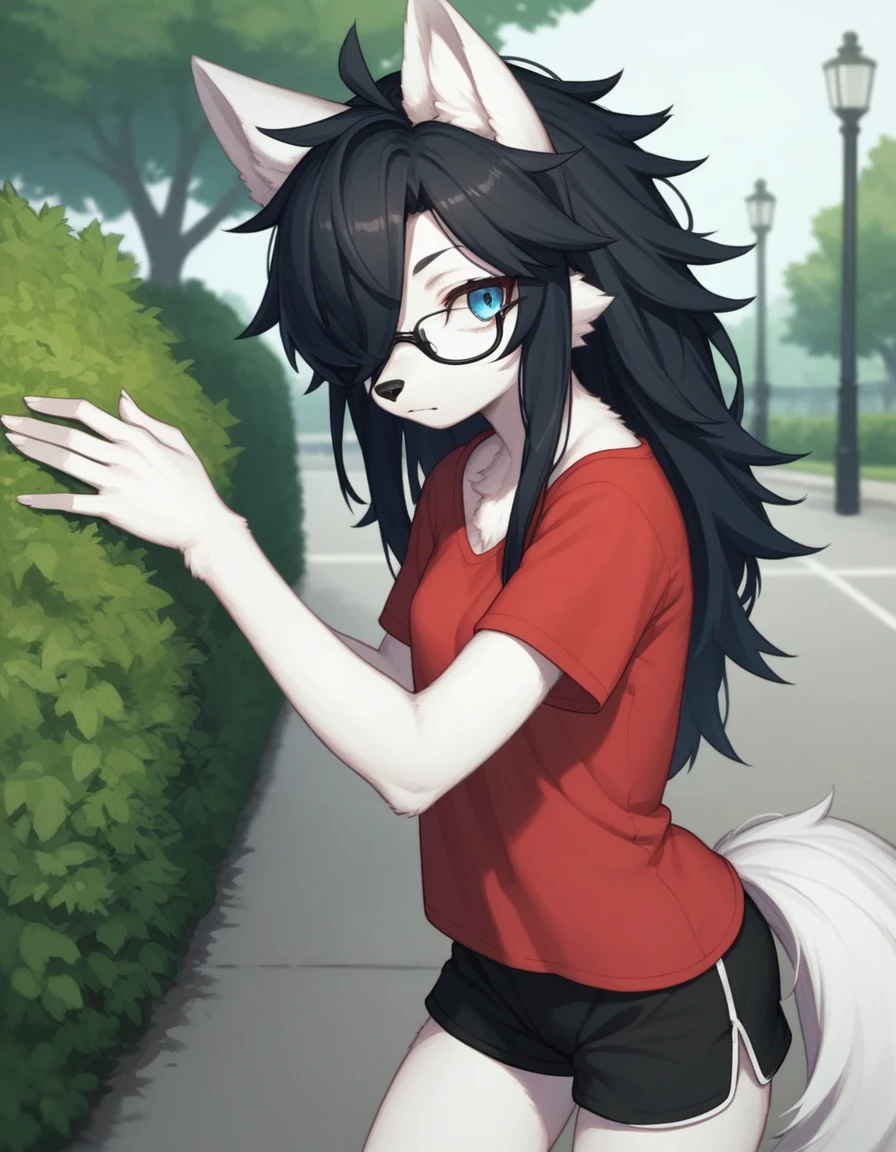 Solo, score_9,score_8_up,score_7_up, kemono style, a young nerdy Anthro furry wolf woman, wolf snout, white furry body, tall, long black messy hair, black hair, hair in a pony tail, hair covering one eye, white wolf tail, black glasses, blue eyes, white wolf ears, black ear tips, white wolf tail, small breasts, wearing oversized red t shirt, black boy shorts, standing, outdoors, at a park,