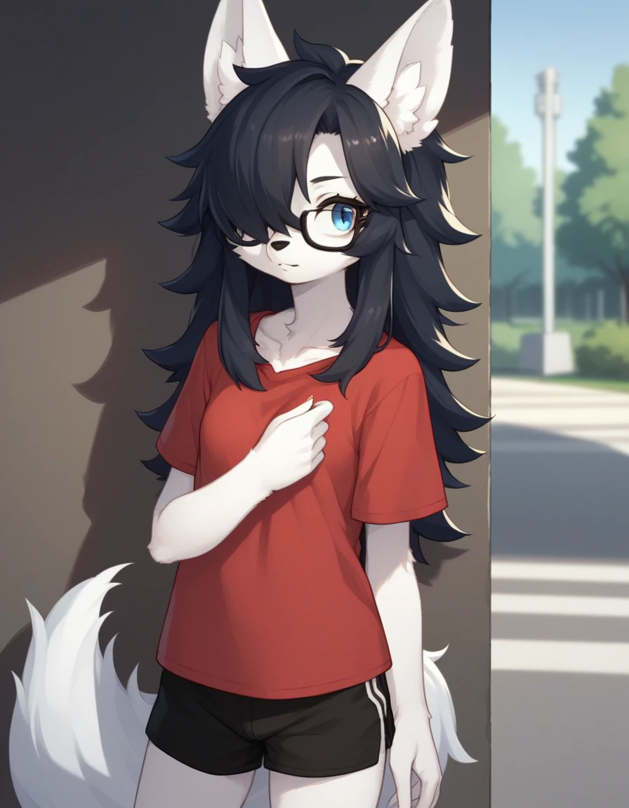Solo, score_9,score_8_up,score_7_up, kemono style, a young nerdy Anthro furry wolf woman, wolf snout, white furry body, tall, long black messy hair, black hair, hair in a pony tail, hair covering one eye, white wolf tail, black glasses, blue eyes, white fox ears, white wolf tail, small breasts, wearing oversized red t shirt, black boy shorts, standing, outdoors, at a park,
