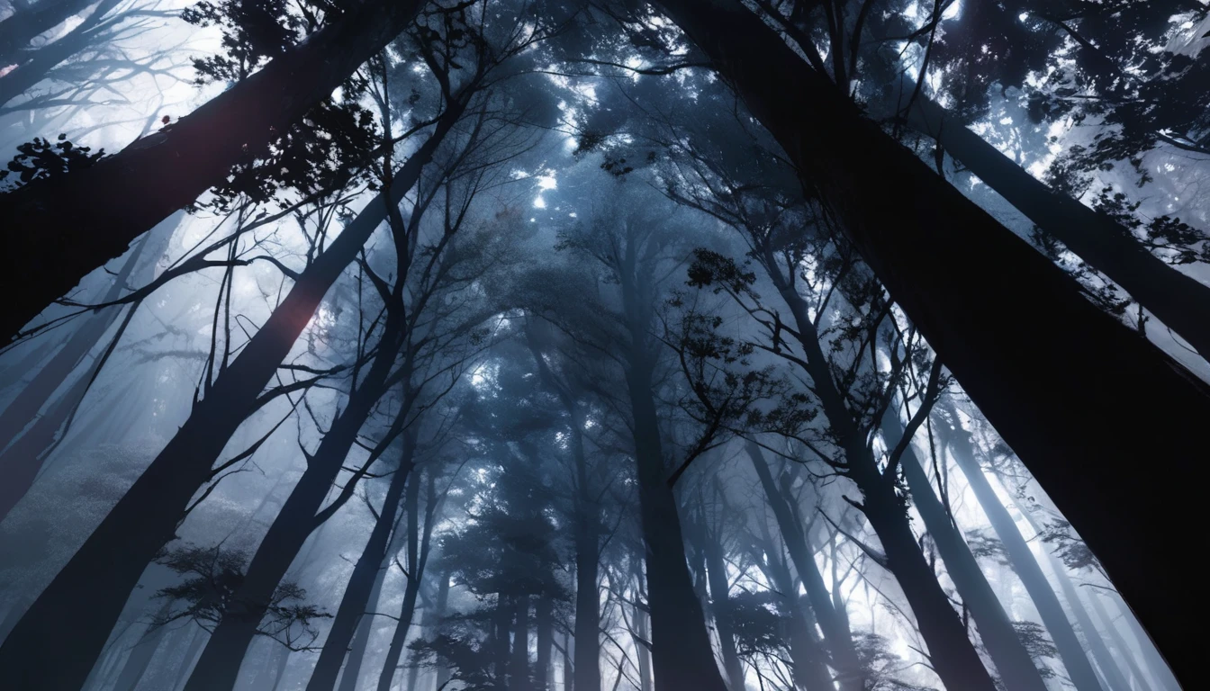 Eerie Dark Forest