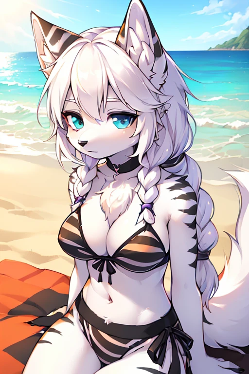 ( Absurdly , High quality , ultra detailed ) ,( hand detailed ) , 1girl, solo, mature, absurdres(highly detailed beautiful face and eyes)perfect anatomy Solo, Young Female white fox-cat (((lean-body))) (((medium breasts))) (short snout),(((fur (black stripe) between neck and shoulder towards chest))) ((fur (black stripes) on waist))(ears are darker), (heterochromia (orange, violet)), (cat tail (black at end)), (white hair (single-braided)), ((Female wolf)) (detailed eyes) (clevedge, (collarbone, shoulders), (solo, (1girl)) ((((fluffy white fur)))) ((extremely detailed fur)) ((hair in face)) (big braid), (thin long tail) (heterochromia) (extremely detailed eyes), white hands, beach, bikini, armpits 