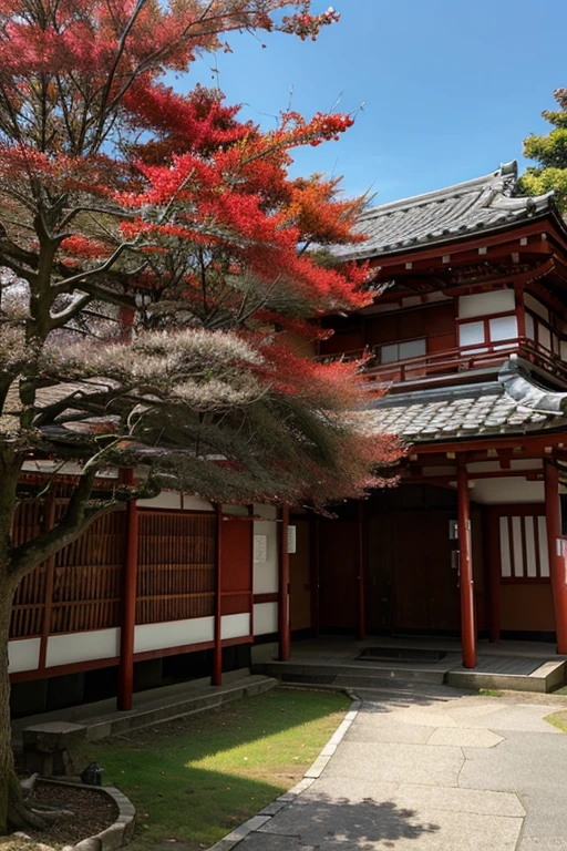 Beautiful red tree japan