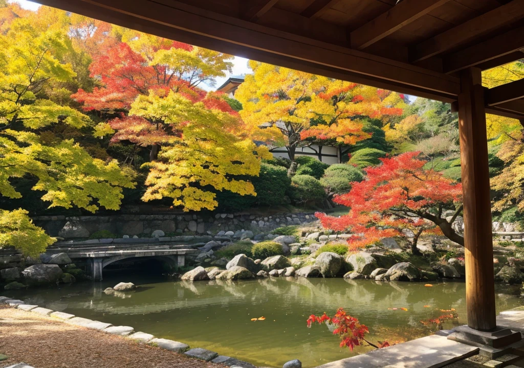 autumn leaves　Kyoto reality image　