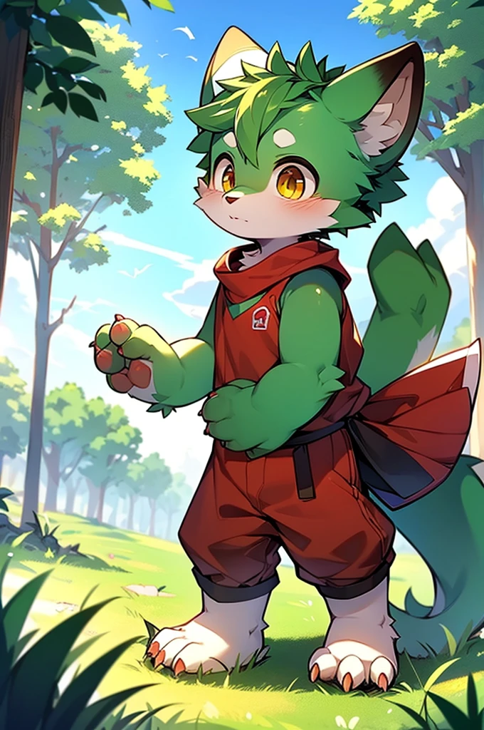 shaggy，Green fur，Green fur，Green fur，male people，canid，adolable，The little fox，The little fox，The little fox，adolable，solo person，sharp talons，Detailed fur，Golden eyes，Thick eyebrows，Fluffy tail，red short sleeves，short white pants，ultra - detailed：1.0，Libido boy，toddlers，children，children's，Gamine，Beast too，adolable，adolable，Shota（Via Dagasi：1.1），anatomy correct，Red Claw，Bare claws，Barefoot paws，Barefoot paws，standing on your feet，attention，bald-headed，Animal foot paws，lawns，grassy fields，On the lawn，on a grassy field，Stepping on the grass，Trampling on small grass