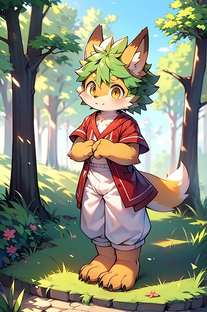 shaggy,Green fur,Green fur,Green fur,male people,canid,adolable,The little fox,The little fox,The little fox,adolable,solo person,sharp talons,Detailed fur,Golden eyes,Thick eyebrows,Fluffy tail,red short sleeves,short white pants,ultra - detailed:1.0,Libido boy,toddlers,children,children's,Gamine,Beast too,adolable,adolable,Shota(Via Dagasi:1.1),anatomy correct,Red Claw,Bare claws,Barefoot paws,Barefoot paws,standing on your feet,attention,bald-headed,Animal foot paws,lawns,grassy fields,On the lawn,on a grassy field,Stepping on the grass,Trampling on small grass
