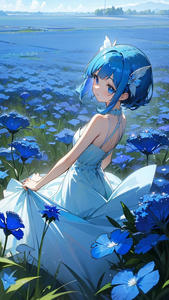 Blue Hair、Shimmering dresses、Nemophila field