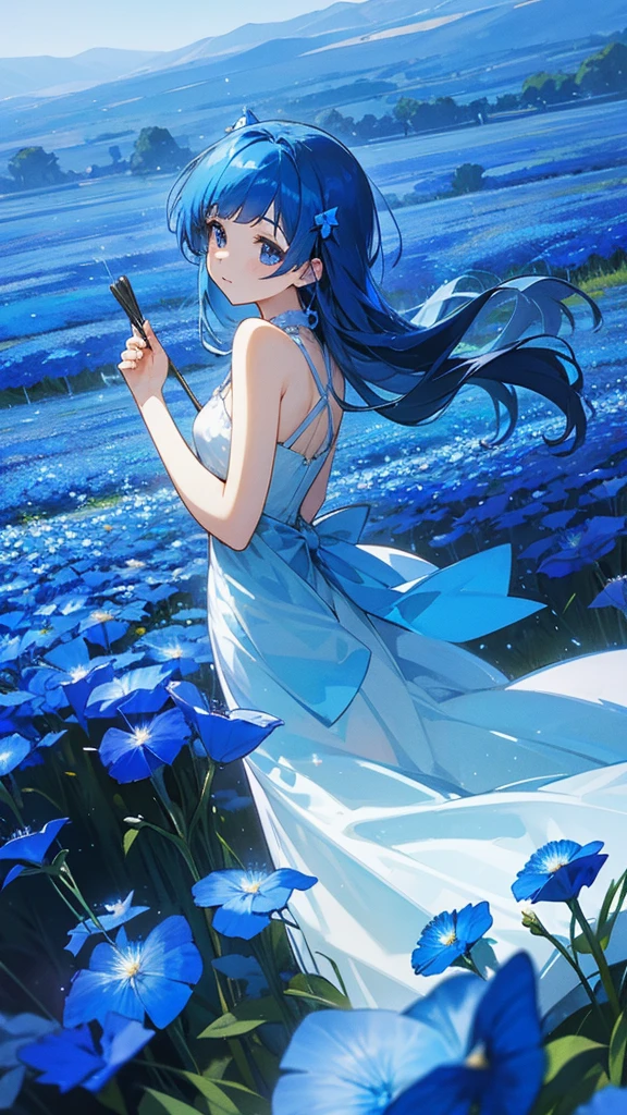 Blue Hair、Shimmering dresses、Nemophila field