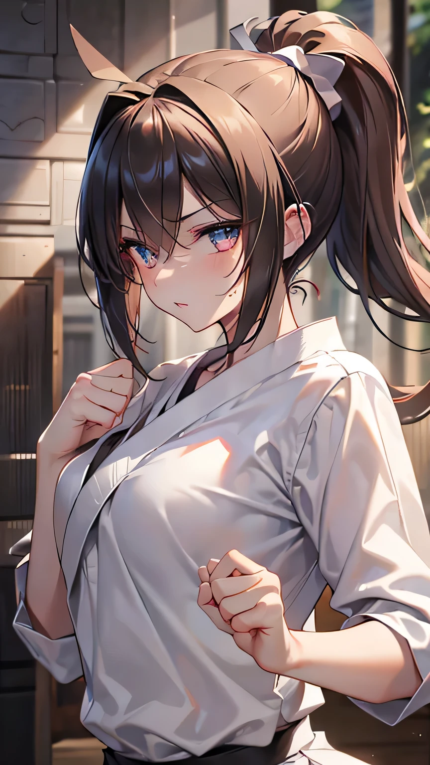 ((best quality)), ((masterpiece)), (detailed face and eyes), detailed hands and fingers, perfect face, accurate, textured skin, high details, Sharp focus A beautiful woman, Slim abdomen, Karateka, karate uniform, black hair, ponytail, (Straight punch:1.3), (Clenched fist), loud voice, muscular, Shining sweat, (at karate dojo), Shockwave, explosion, sonic wave