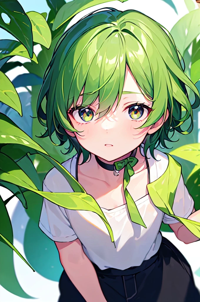 [(WHITE BACKGROUND:1.5),::5], ((((masterpiece)))), high quality, very_high_resolution, large_filesize, full color, solo, ((( boy))), 13 oldt Green hair, vivid color, Black eye, Summer clothes, anime,