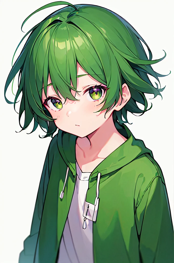 [(WHITE BACKGROUND:1.5),::5], ((((masterpiece)))), high quality, very_high_resolution, large_filesize, full color, solo, (((little boy))), 13 old year, short Green hair, vivid color, Black eye, Summer clothes, anime,