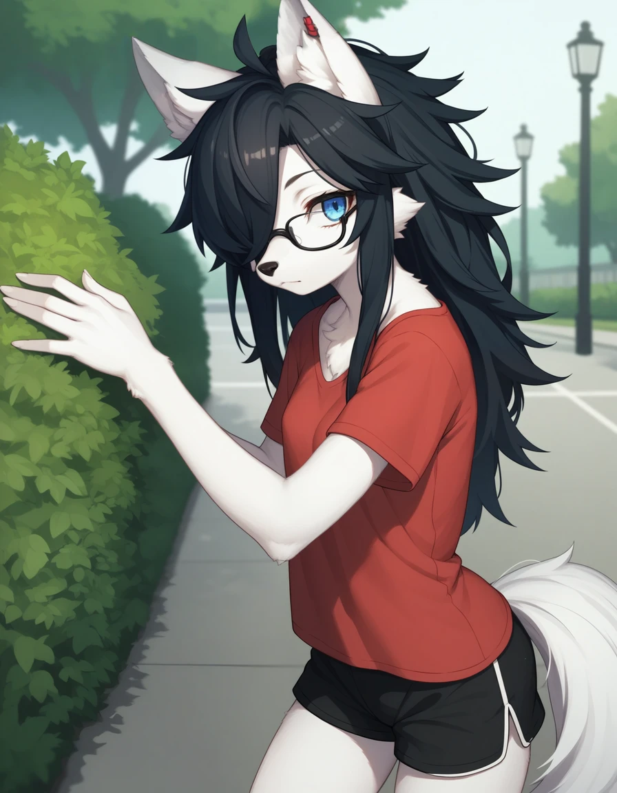Score_9, kemono style, black wolf ear tips, black wolf ears, blend in with character