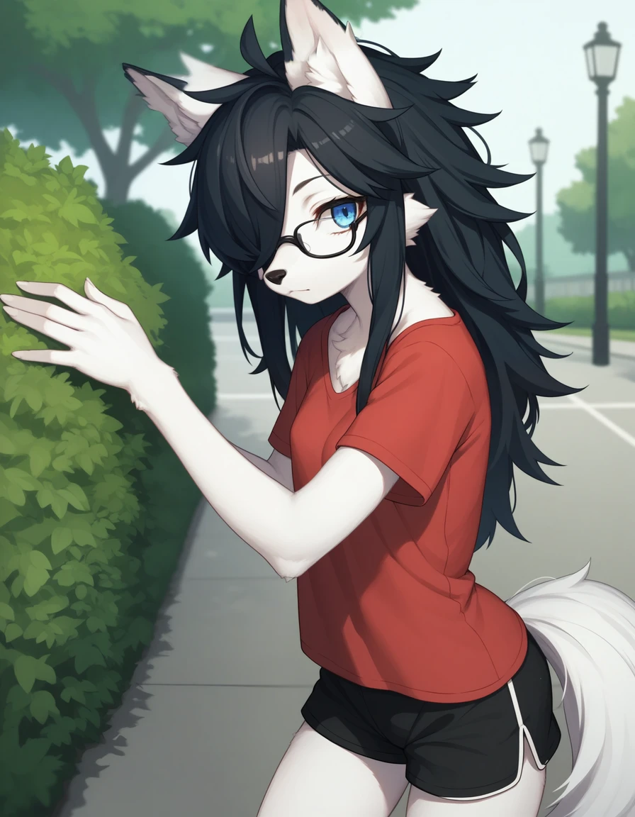 Score_9, kemono style, black wolf ear tips, black wolf ears, blend in with character