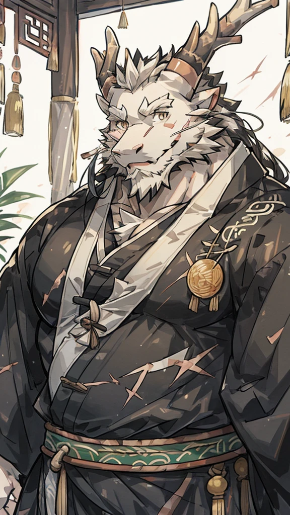 (white eastern dragon),furry,white mustache,big pecs,hearty males,muscular,black imperial robe,naked,adult,traditional_chinese_room,head portrait,scar