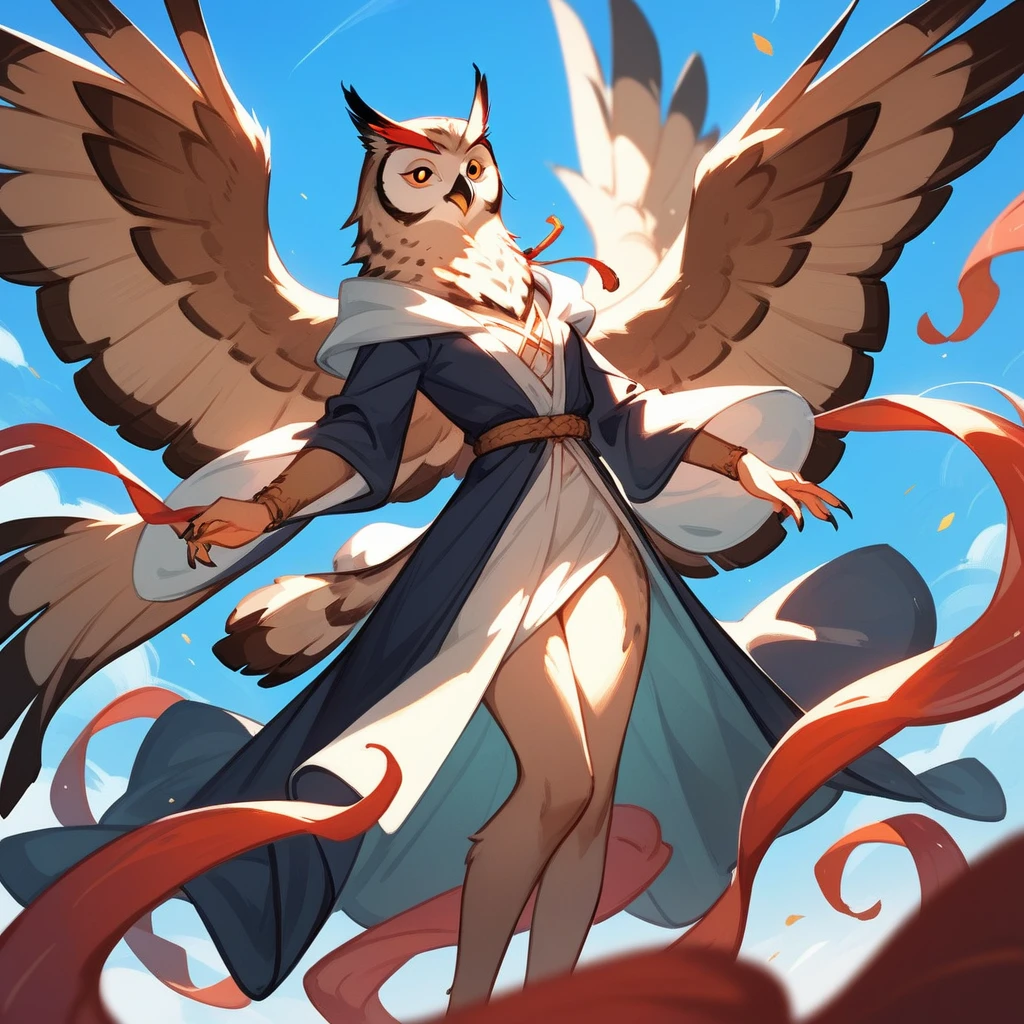 Quixotic Adventurer in owl art style, feathered robe, sfw, (score_9,score_8_up,score_7_up,score_6_up,score_5_up,score_4_up)