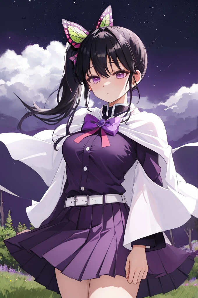 (masterpiece:1.3), (best quality:1.1), (8k, ultra detailed, ultra high res:1.2), ((anime style)), perfect 5 fingers, (perfect anatomy), arms behind back,
1girl,
Kanao Tsuyuri,
BREAK long hair, side ponytail,
black hair,
purple eyes, (empty eyes:1.5),
butterfly hair ornament,
(medium breasts:0.9),
BREAK (purple shirt, pleated purple skirt, long sleeve, white cape with bow:1.2), looking at viewer,
cowboy shot,
perfect light,
waving, outdoors, forest, field, night, night sky, starry sky,