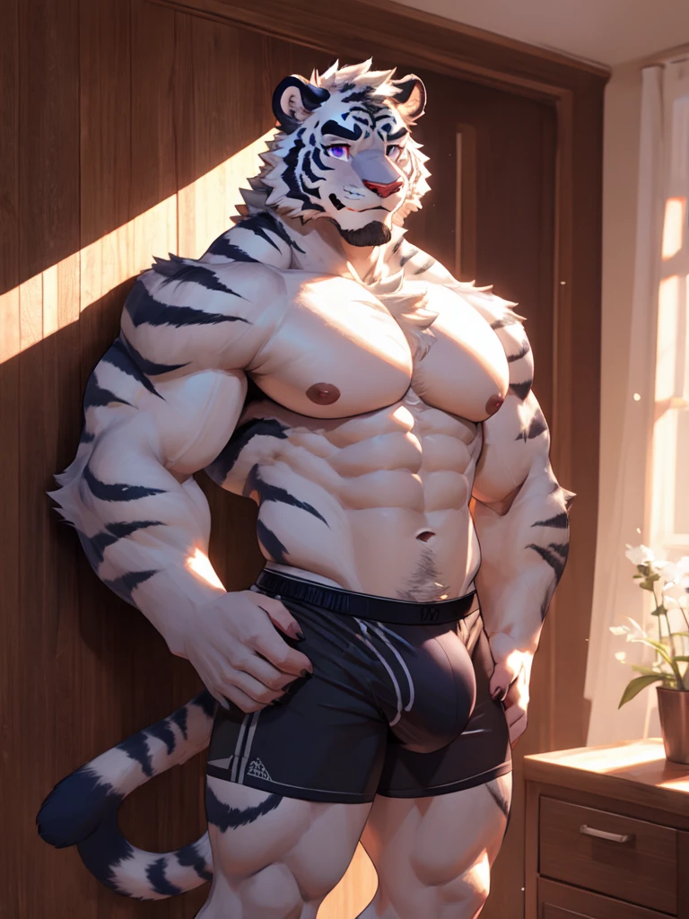 bara extremely handsome white tiger furry leaning one hand on wall wearing only tight purple colored boxer briefs, tall, massive pecs, broad shoulders, sultry gaze, purple eyes, smirking at camera seductively, one hand on his hip near his bulge, looking at viewer, huge bulge, bedroom, sunlight casting over,Bara, Furry, dynamic shading