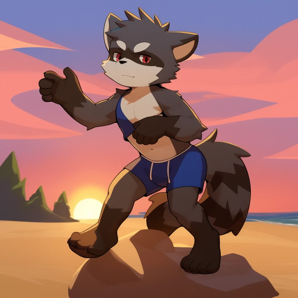 author:jrjresq, author:kirito, Libido boy, furry raccoon, Fursona raccoon , Black and grey hair, Very good figure, Handsome, adolable, Light:Hazy light and shadow, Reflective skin, Reddish skin, worn-out clothing,Commoner, beachside,standing on the rock,sandbeach,solo person,solo,1doy, Outdoor sunset, the detail, depth of fields, Libido boy