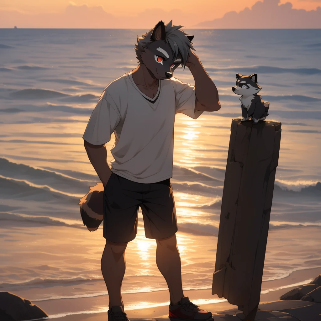 furry raccoon, Fursona raccoon , Black and grey hair, Very good figure, Handsome, adolable, Light:Hazy light and shadow, Reflective skin, Reddish skin, worn-out clothing,Commoner, beachside,standing on the rock,solo,1doy, Outdoor sunset, the detail, depth of fields,