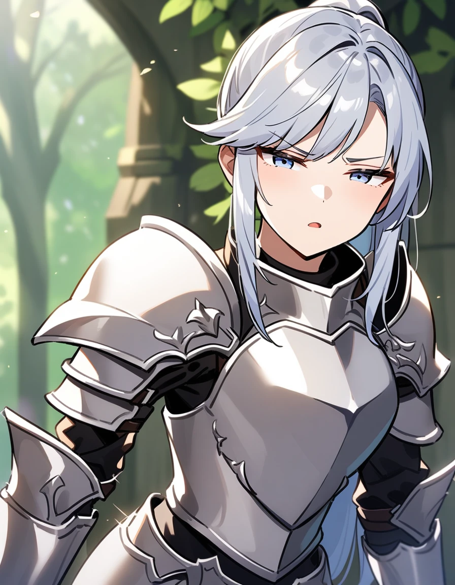 Beautiful girl knight in armor, Gray Hair, tsurime, fantastic, Face your body forward like a certificate photo, shoot from front, Ponytail, Armor Girl, beautiful female knight, Female Paladin, pale blue eyes, narrowed eyes squint, Talking mouth