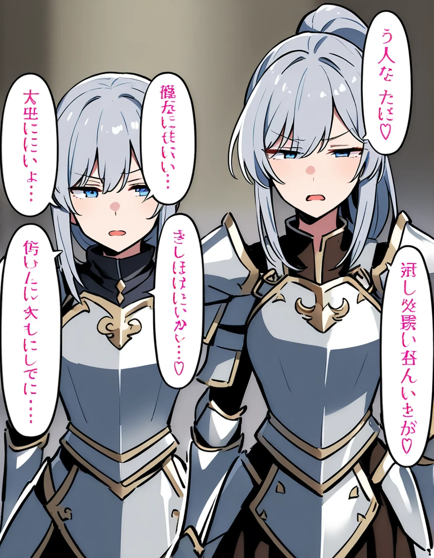 Beautiful girl knight in armor, Gray Hair, tsurime, fantastic, Face your body forward like a certificate photo, shoot from front, Ponytail, Armor Girl, beautiful female knight, Female Paladin, pale blue eyes, narrowed eyes squint, Talking mouth