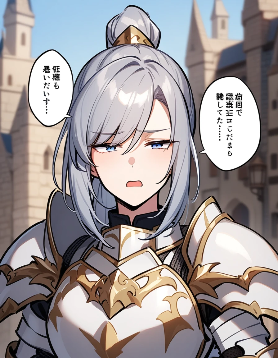 Beautiful girl knight in armor, Gray Hair, tsurime, fantastic, Face your body forward like a certificate photo, shoot from front, Ponytail, Armor Girl, beautiful female knight, Female Paladin, pale blue eyes, narrowed eyes squint, Talking mouth